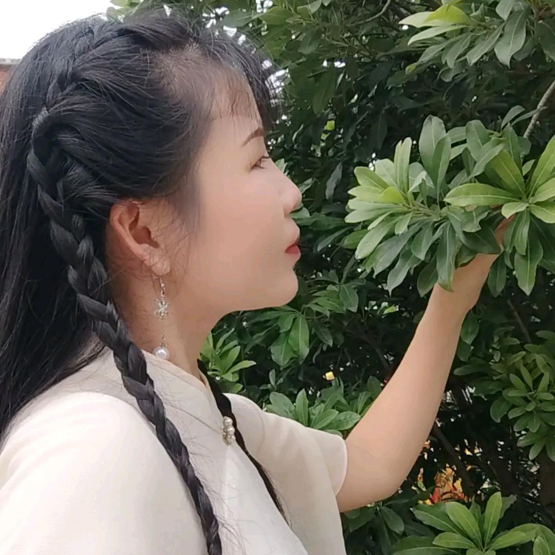 碧瑶