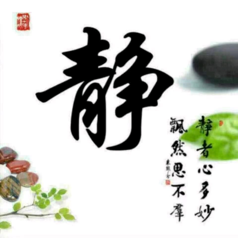 随/心