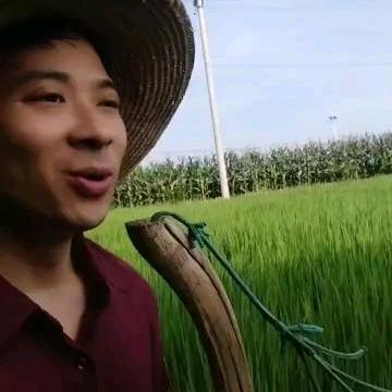 憨豆不憨——土特产