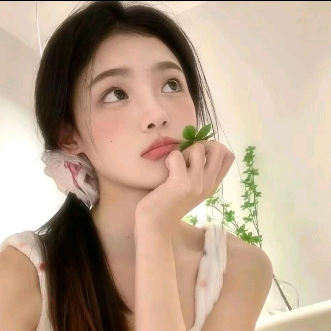 布理理