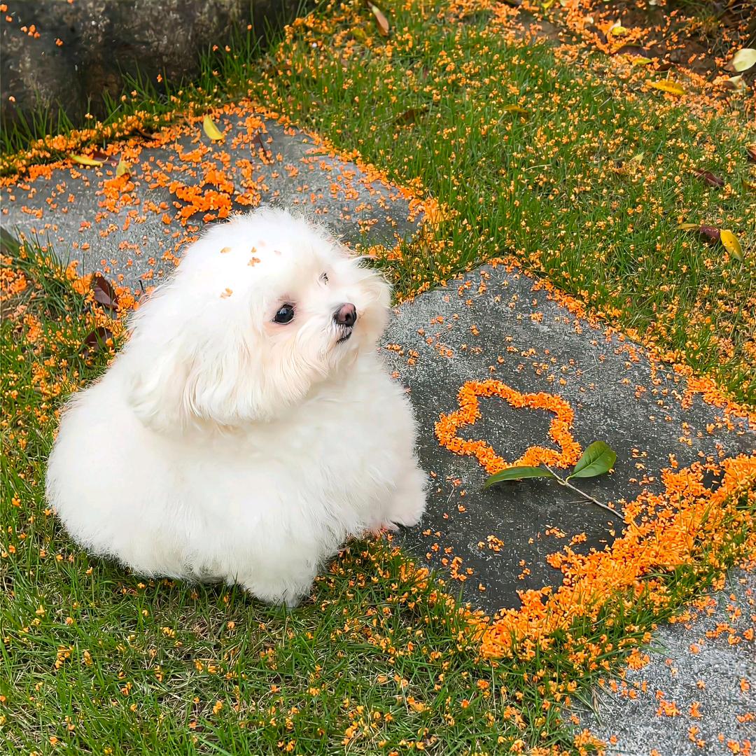 周五总是有些收获