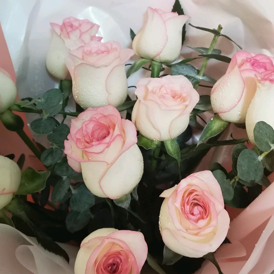 河南金钥匙人力资源有限公司