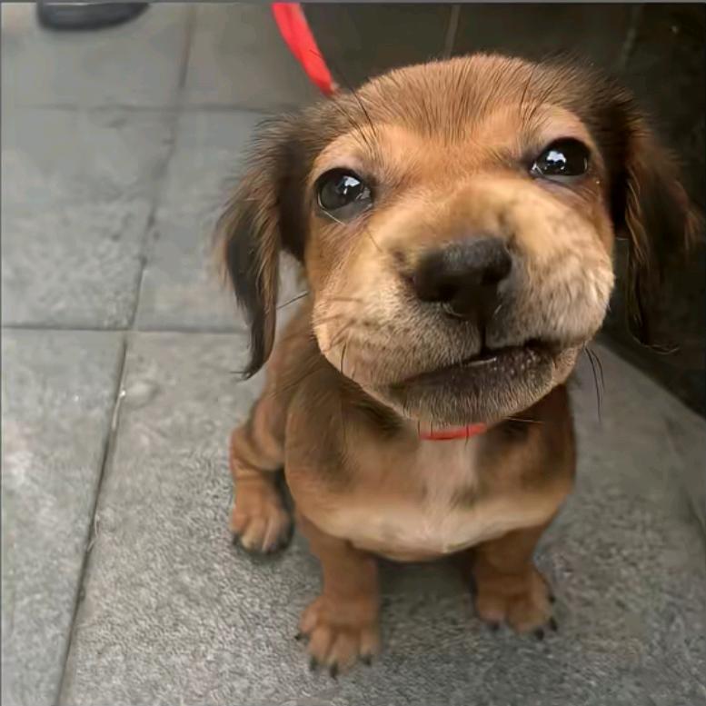 壹块肌肉