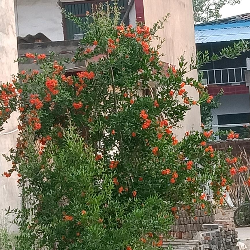 锁住我的心，.