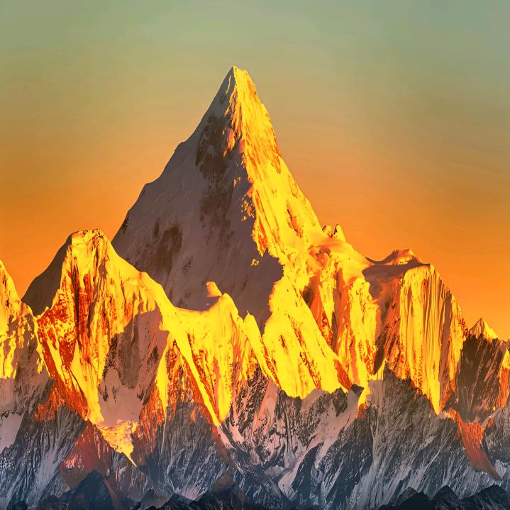 金翅大鹏要考研