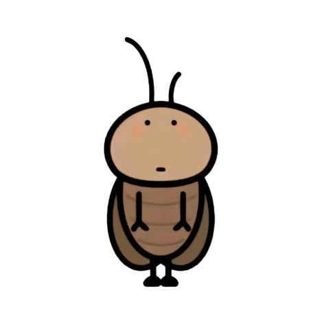 生活在阴暗下水道里的小蟑螂