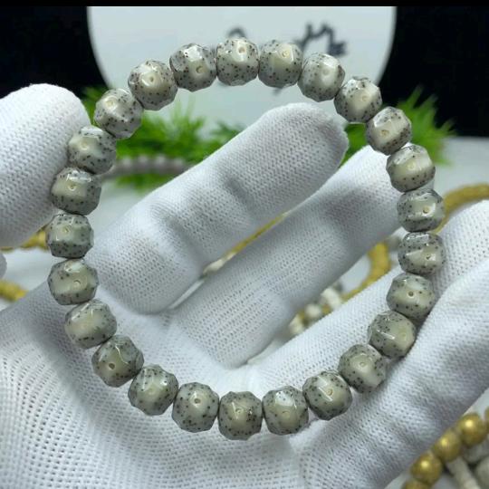 长春明帝