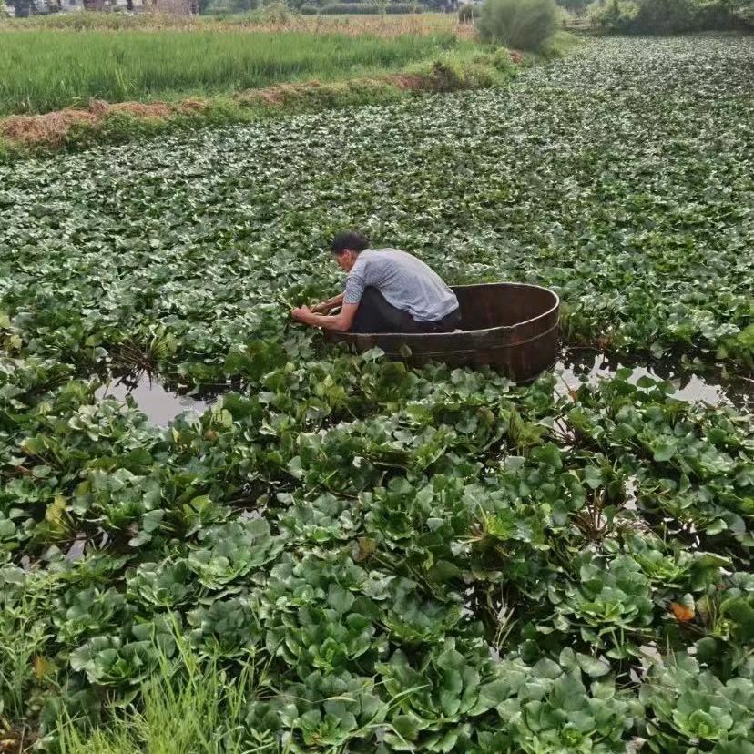 不惑的年代