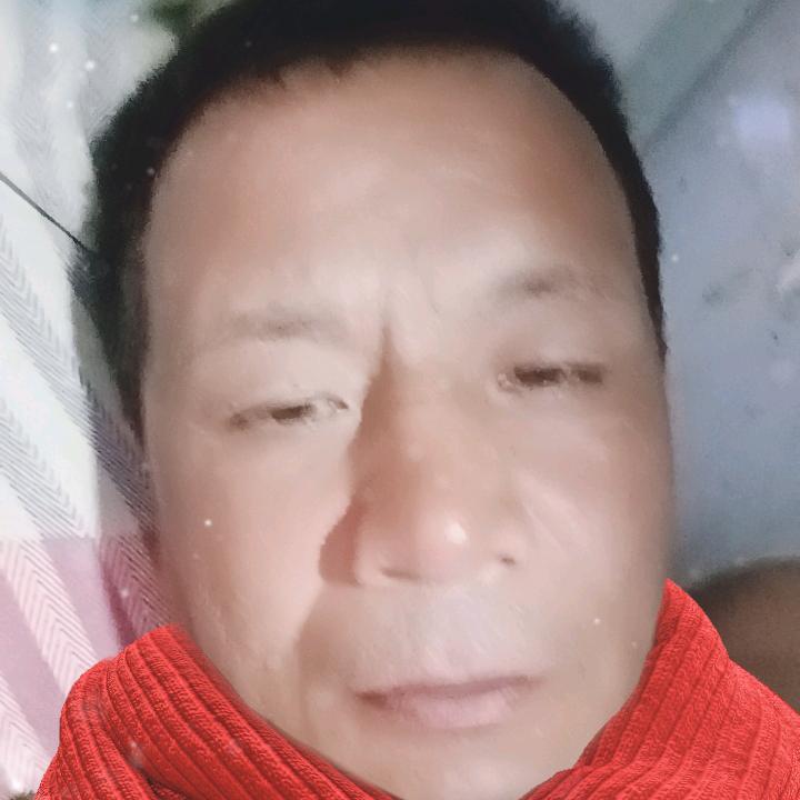 天山雪狼🐺🐺