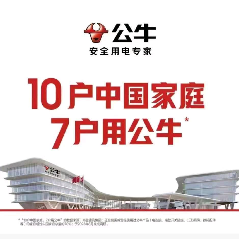 公牛旗舰店(北海重庆路店)