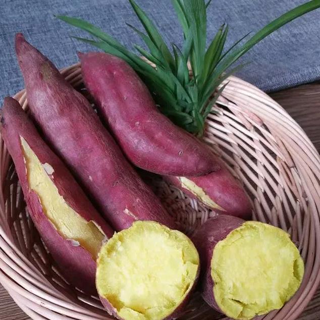 梓睿甄选（小飞）