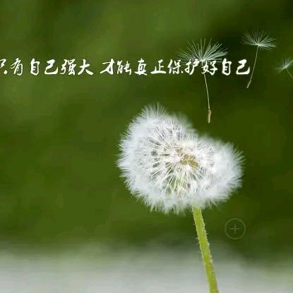 ℳঞ半夏🍒时光꧔ꦿ💔࿐