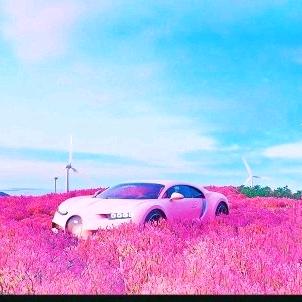 傅大大