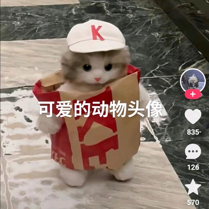 可爱的小土豆😜