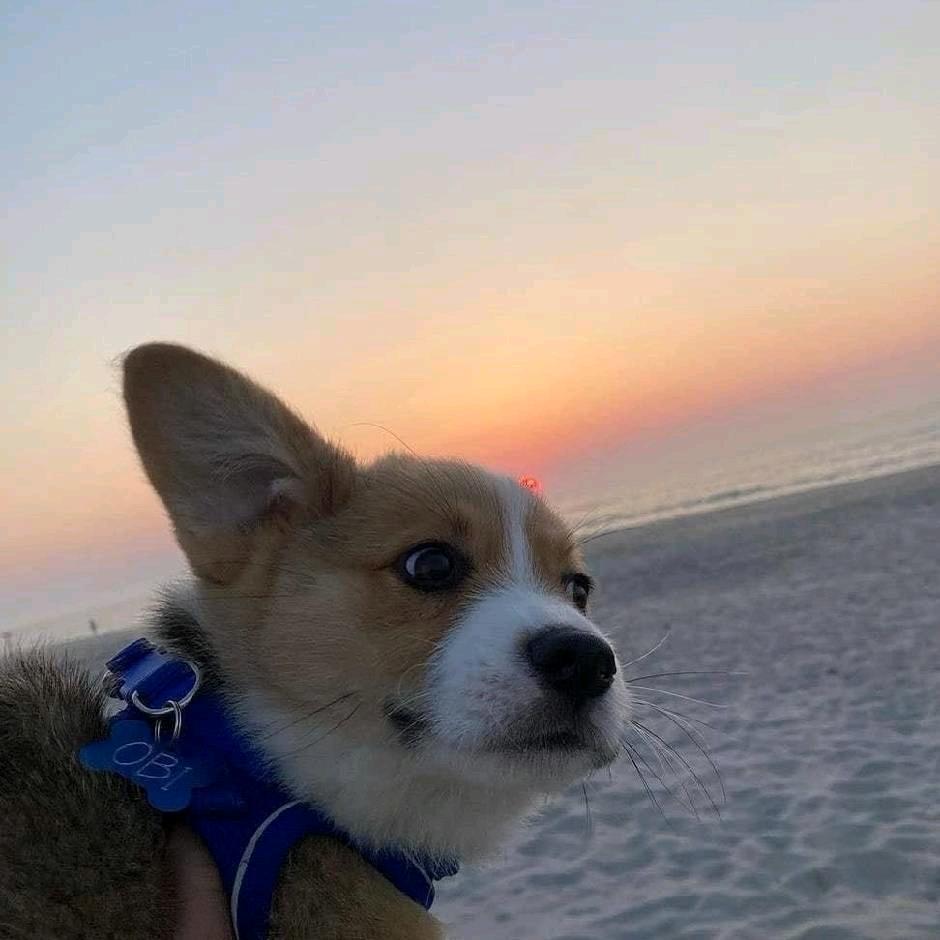 小宇🧸ᐝ🧸ིྀ