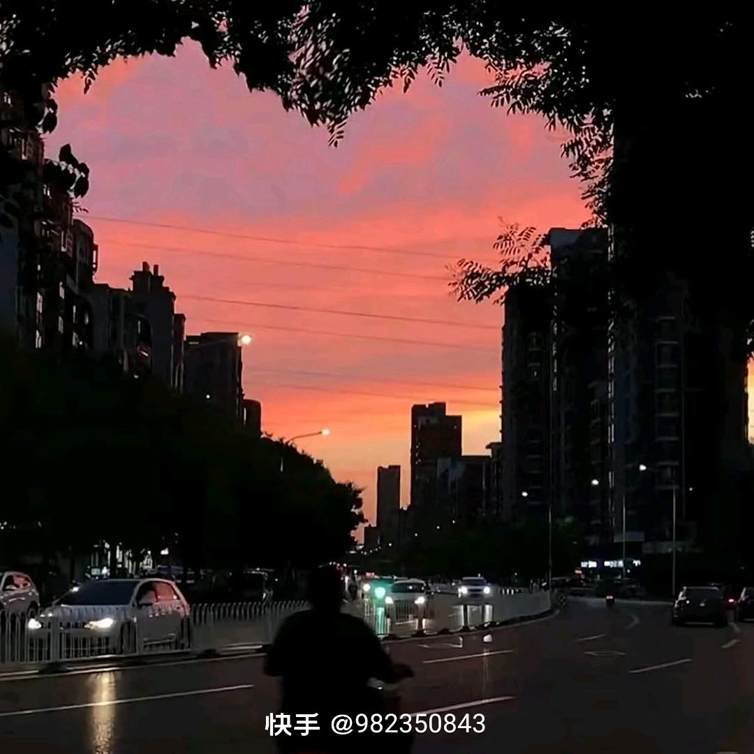 南城以北花似海