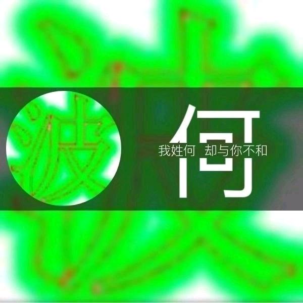 波哥短剧