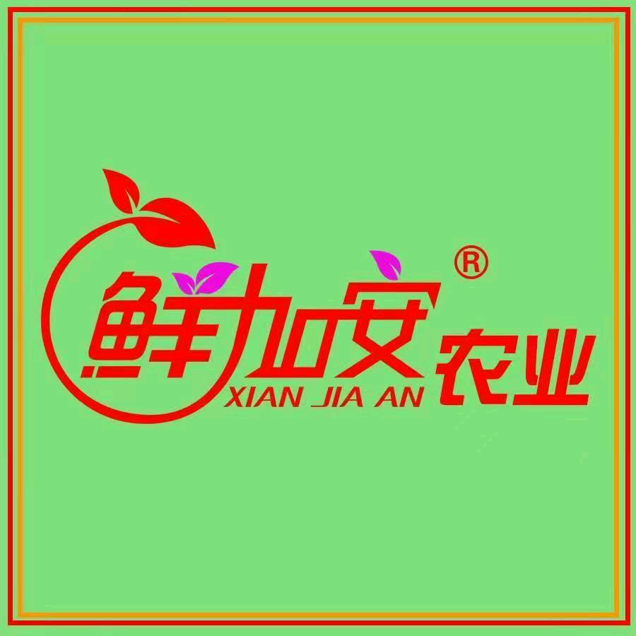 鲜加安-小符特菜