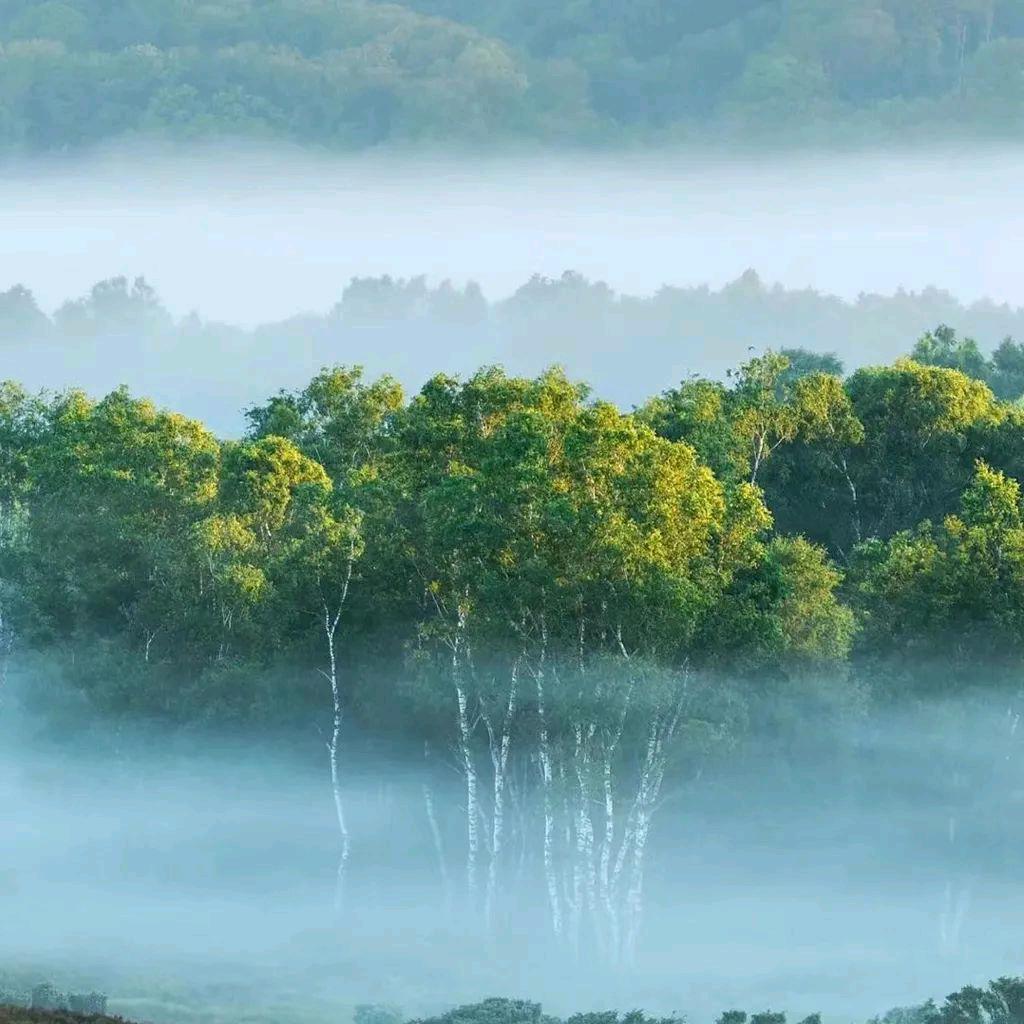 竹楼烟雨中