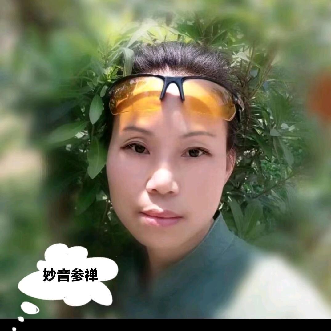 博雅.二家政