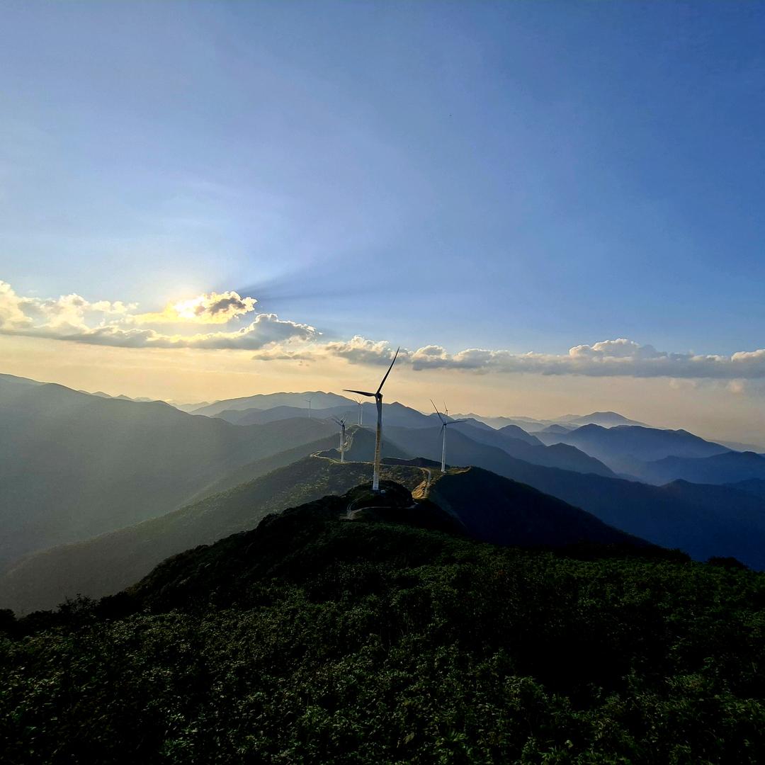 珊诺果树苗木店1