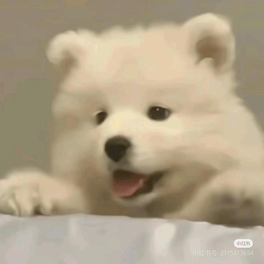 一块儿姜