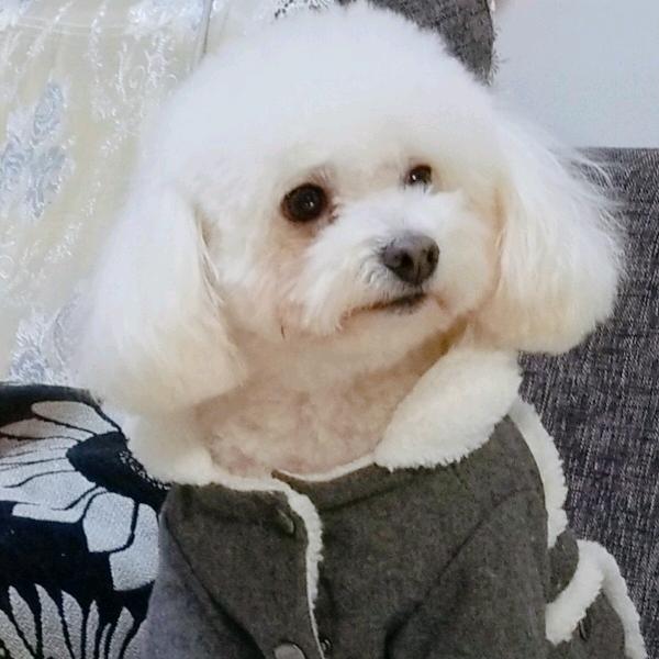 哇塞好几个8888