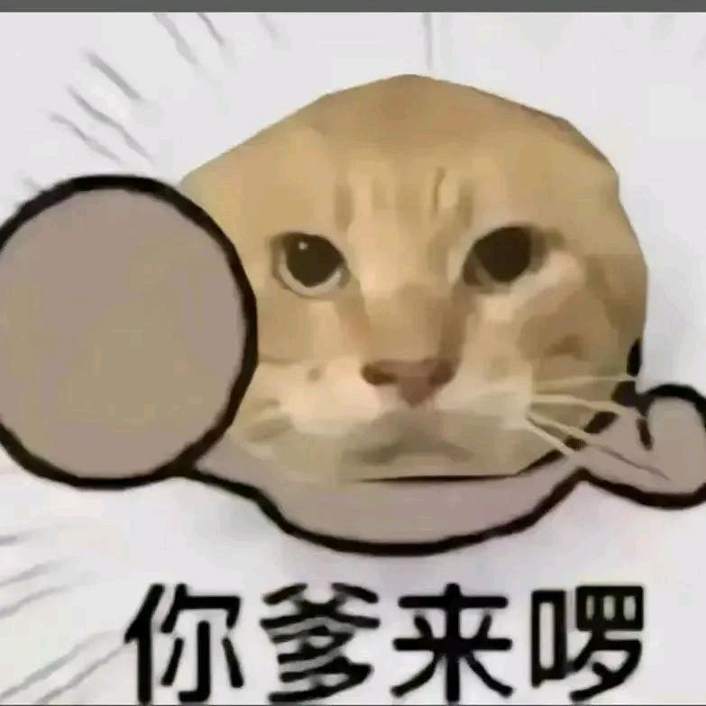 别多想