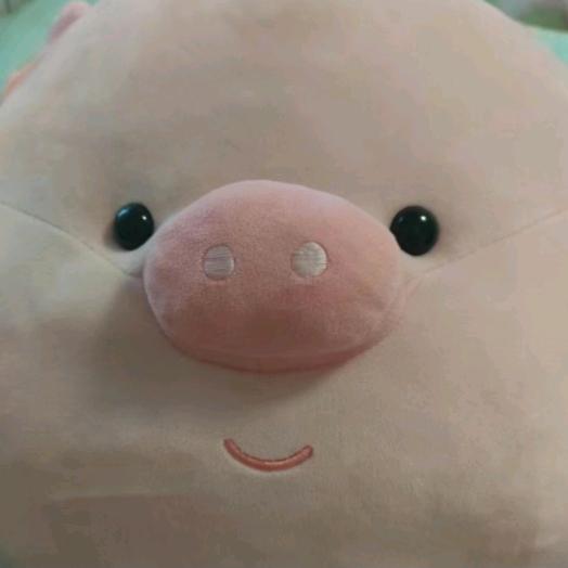 小猪佩琦～