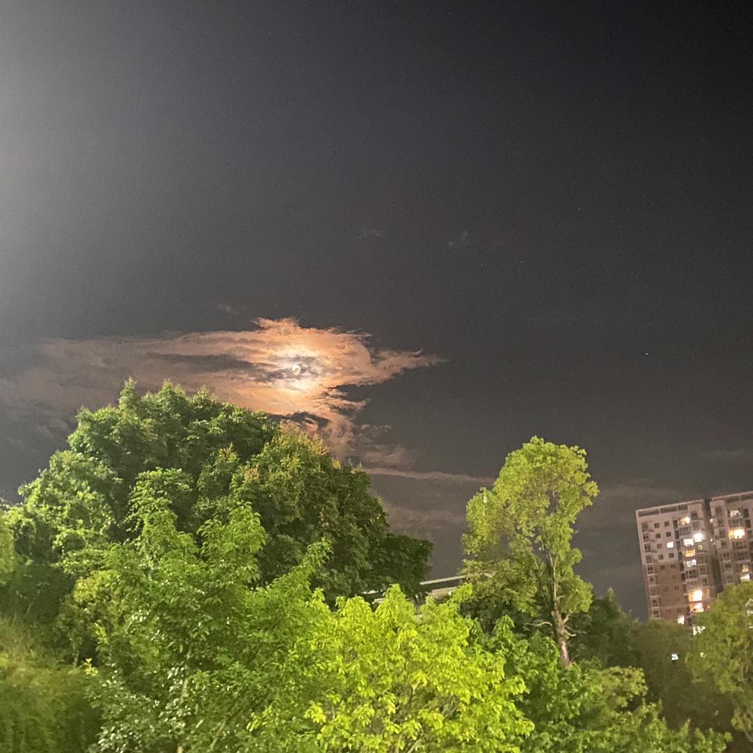 胡建芬