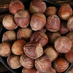 秀绿山也大果榛子