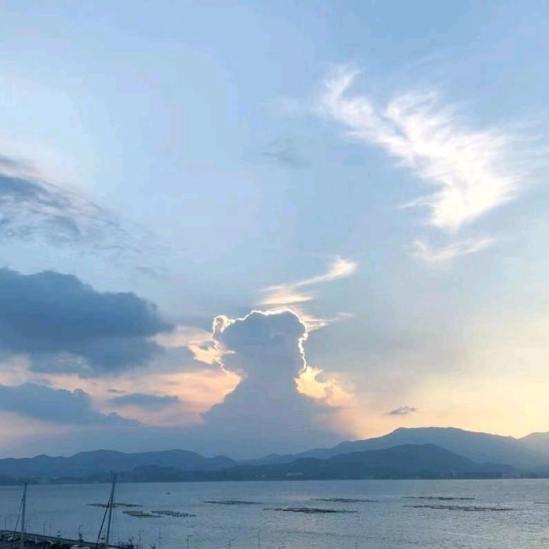 赣南橙哥-正宗赣南信丰脐橙