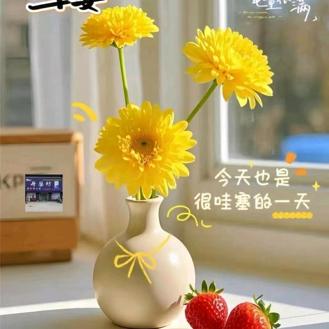 旺旺锦鲤小仙女