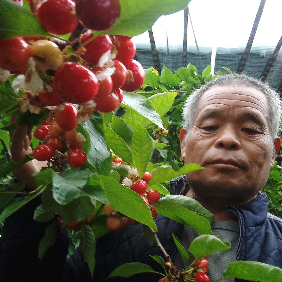 老农科技