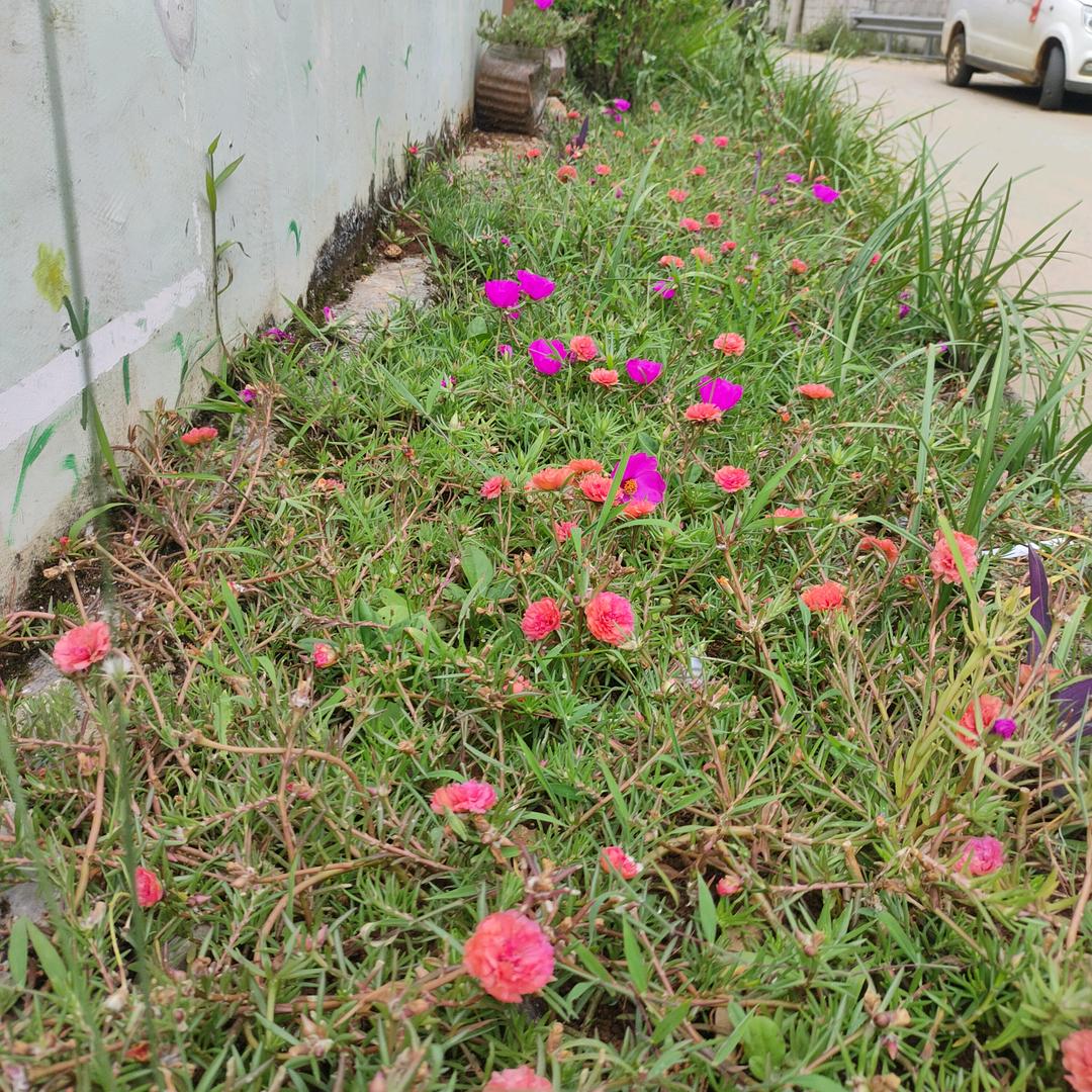 花好月圆