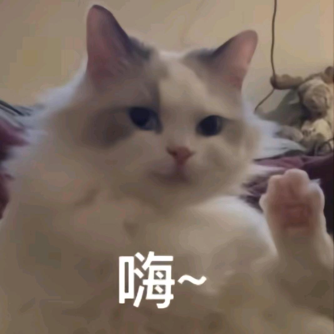 晓晓