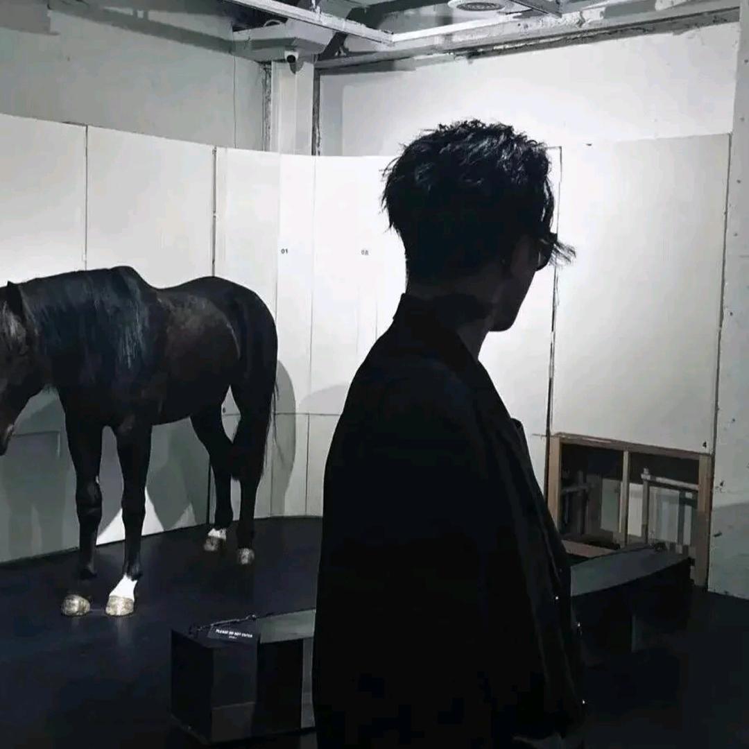 '高奕.