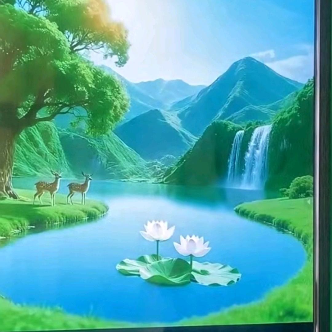 幸运星🌻🌻🌻