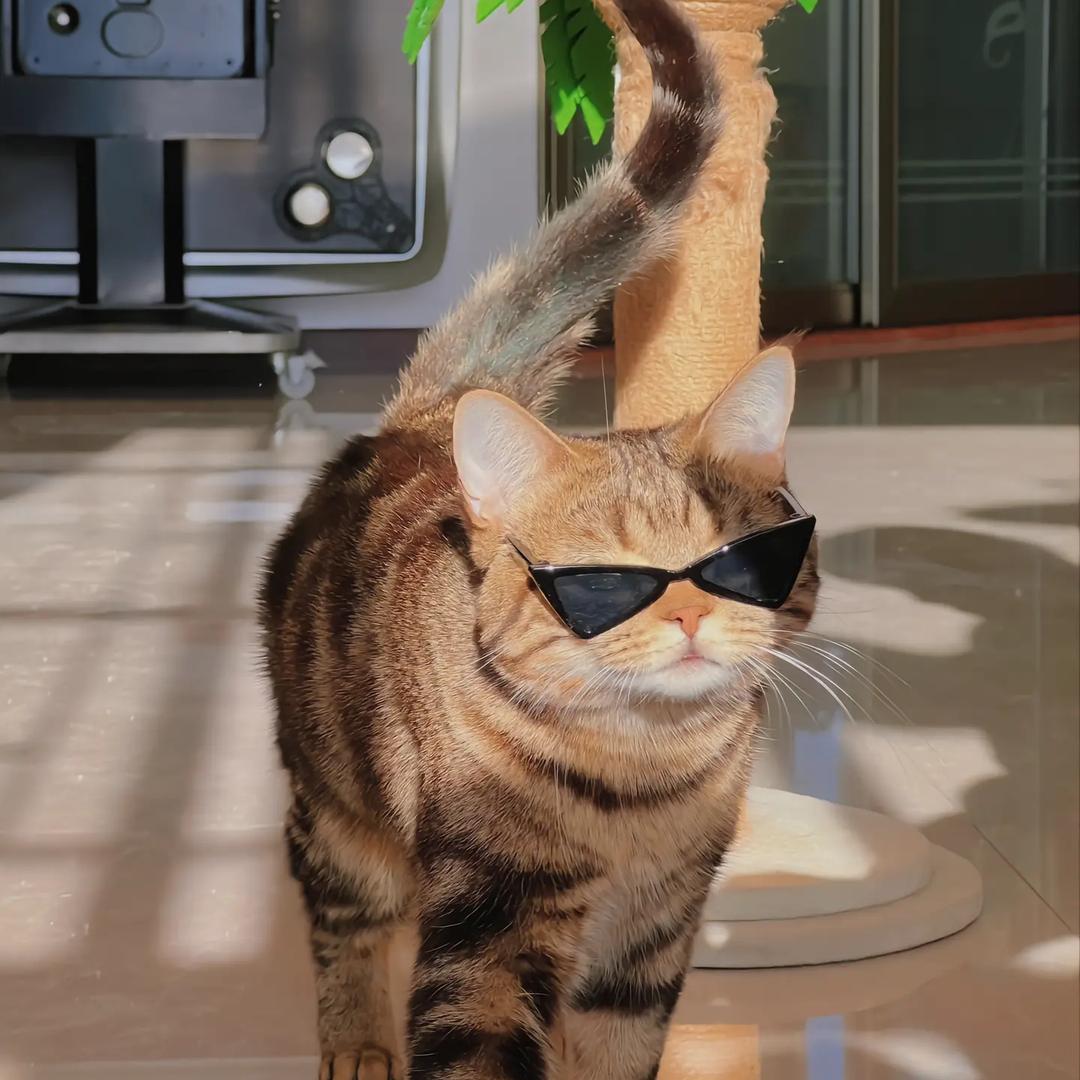 小罗老师(宁德美术硬笔）