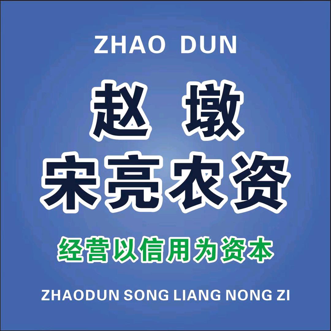 赵墩宋亮农资