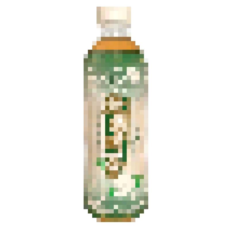 一瓶茉莉清茶（周更版