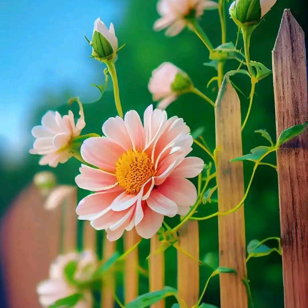 带孙女日常