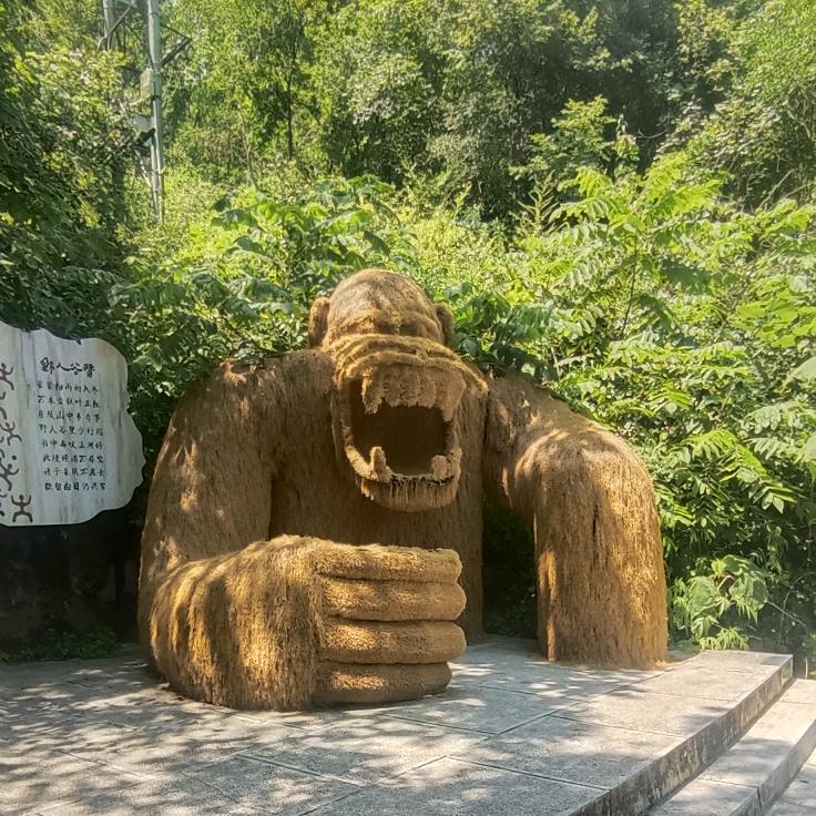 人间值得