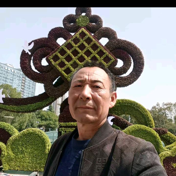 河南王哥