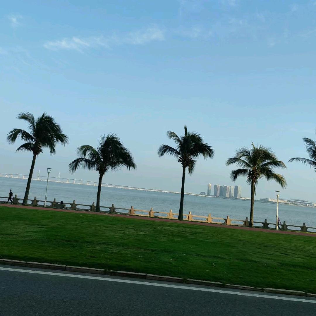 嫣然一笑（814）