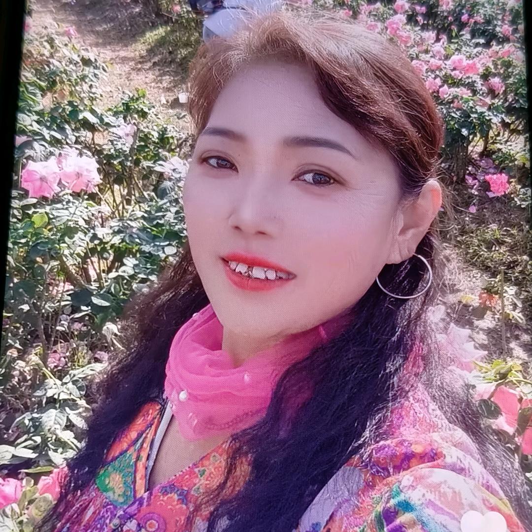 开心四姐