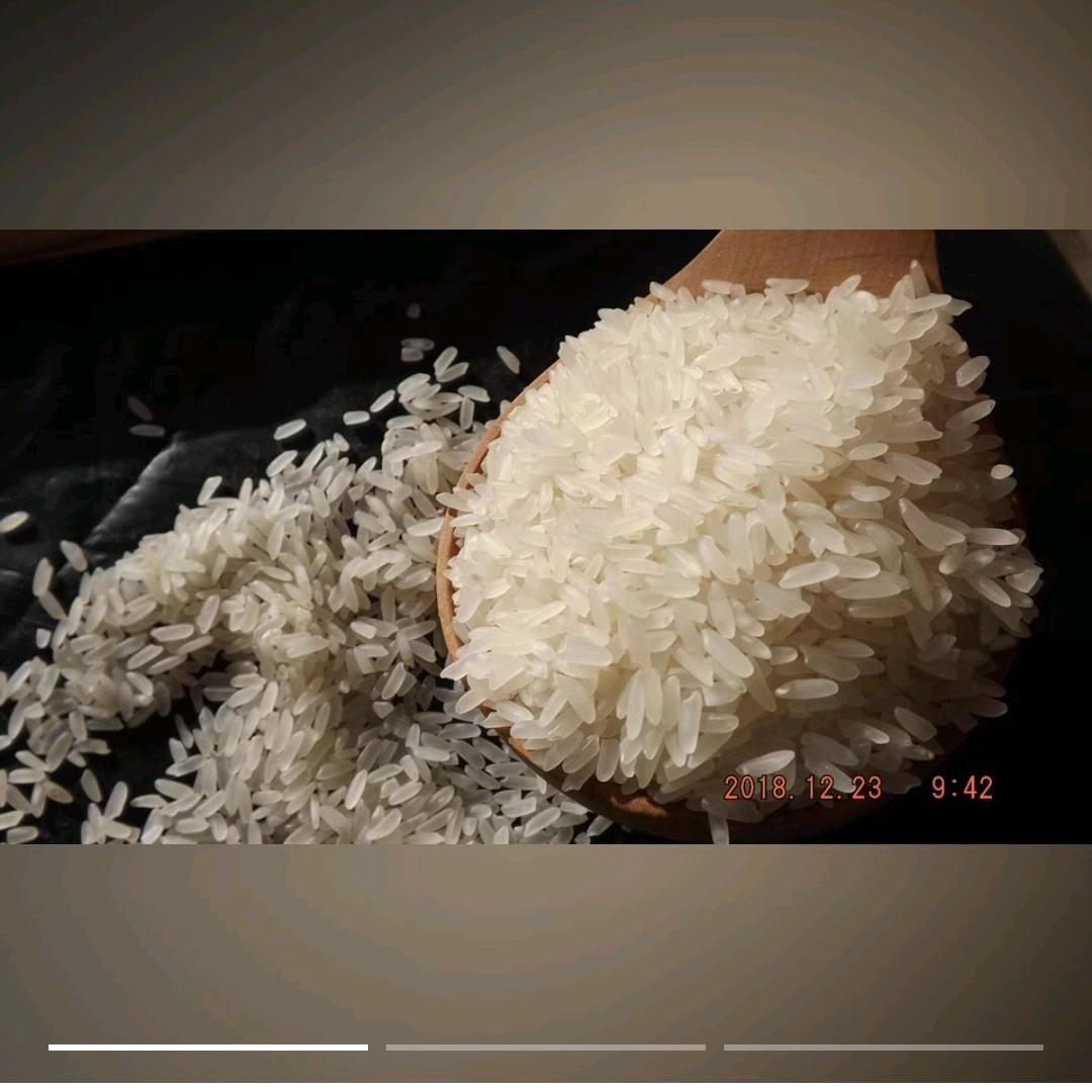 稻米飘香九月里