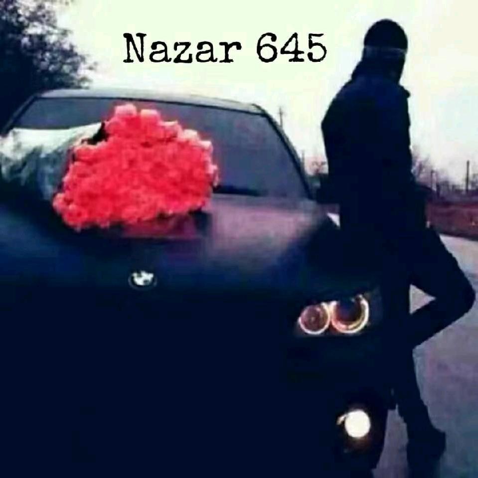 nazar 645
