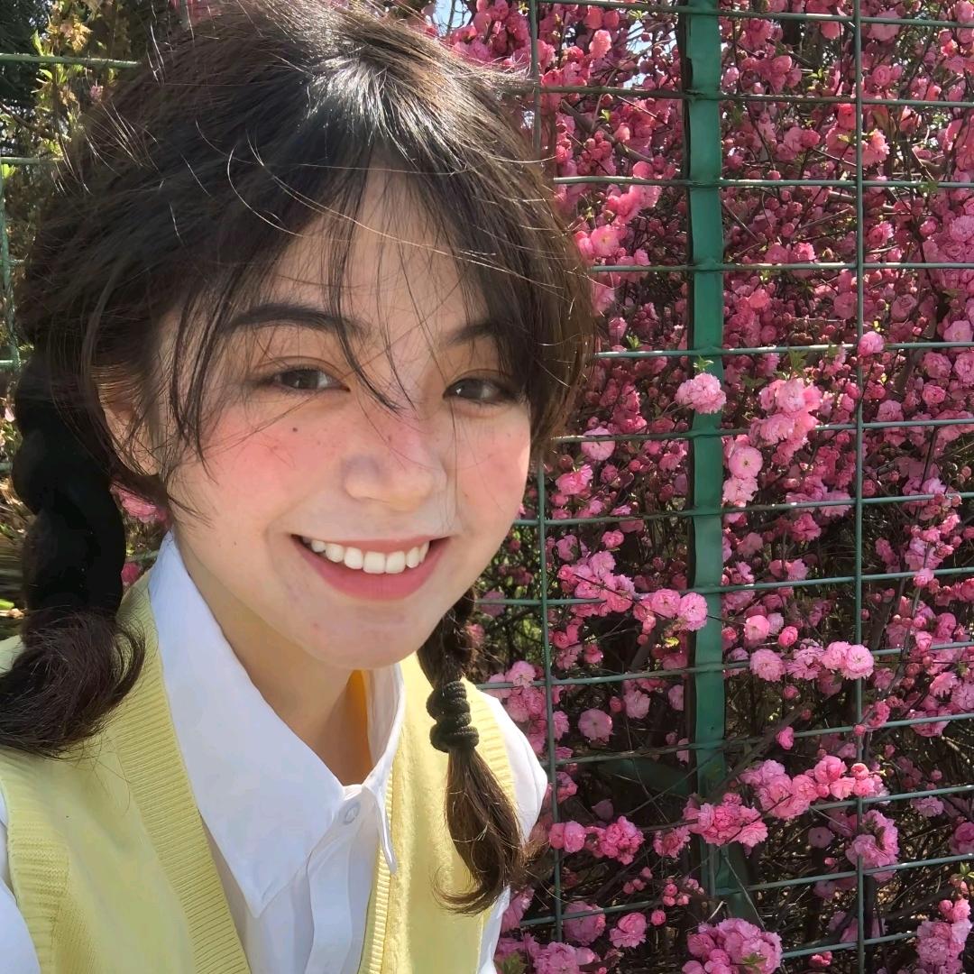 一根仙女棒✨