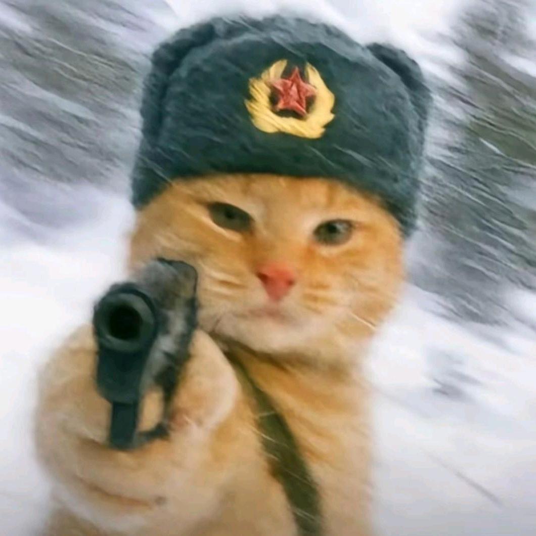 今天聊点啥